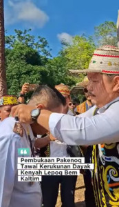Pakenoq Tawai